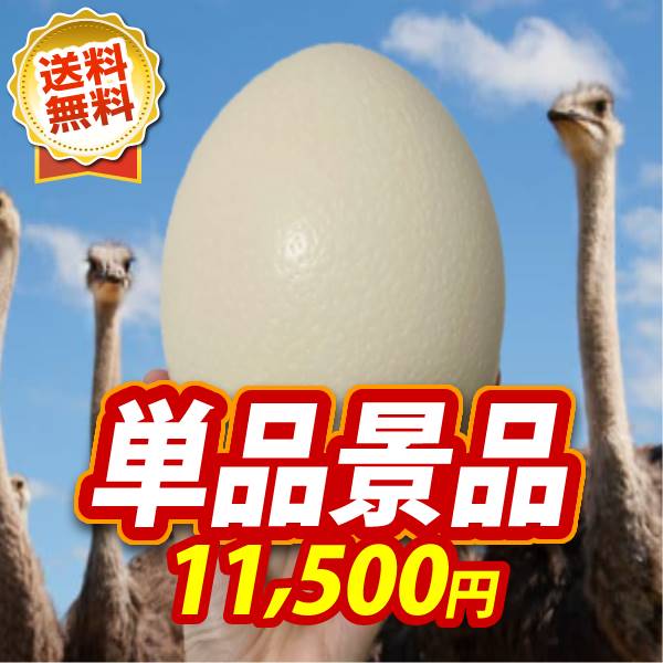 ビンゴ景品【ダチョウの卵】A3パネル・目録付き<送料無料>