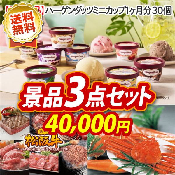 ビンゴ景品3点セット【ハーゲンダッツ ミニカップ 1ヶ月分　30個/選べる一品景品【松阪牛】 他】A3パネル・目録付き<送料無料>