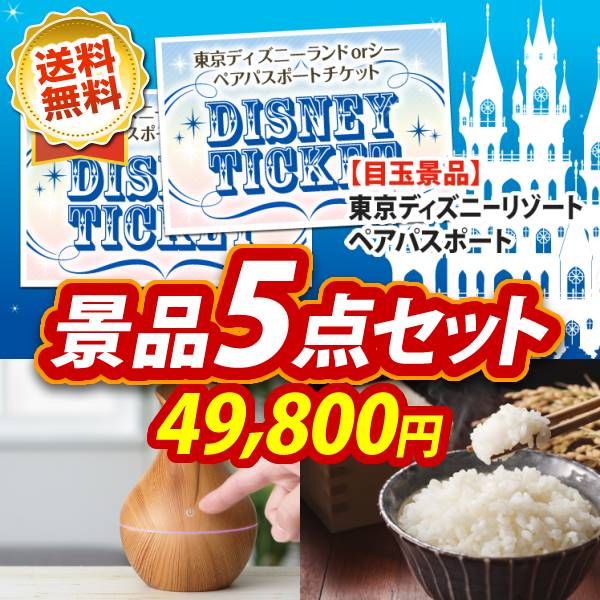 8,510円ディズニーペアチケット　目録　景品キング