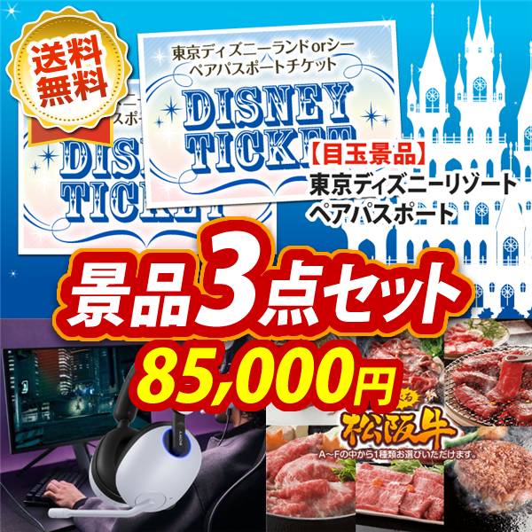 ビンゴ景品3点セット【ディズニーペアチケット/SONY ゲーミングヘッドセット 他】A3パネル・目録付き<送料無料>