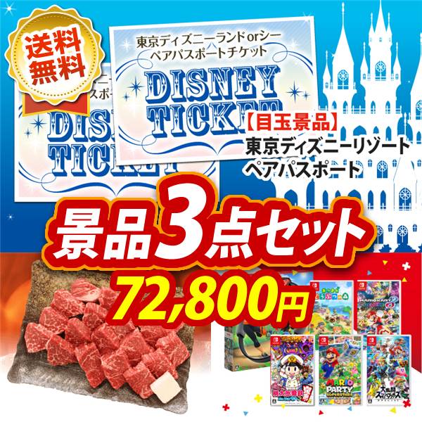 ビンゴ景品3点セット【ディズニーペアチケット/飛騨牛もも一口ステーキ500g 他】A3パネル・目録付き<送料無料>