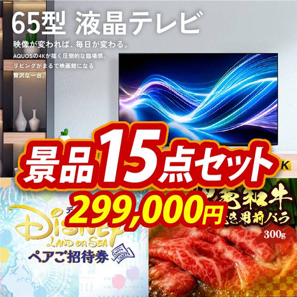 ビンゴ景品15点セット【AQUOS 4K65型　液晶テレビ/ディズニーペアチケット 他】A3パネル・目録付き<送料無料>