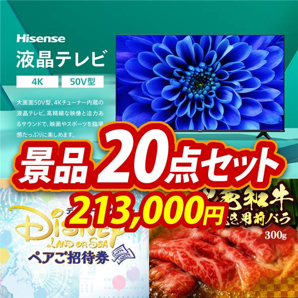 ビンゴ景品20点セット【Hisense 50V型 4Kチューナー内蔵 液晶 テレビ/ディズニーペアチケット 他】A3パネル・目録付き<送料無料>