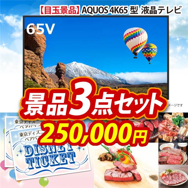ビンゴ景品3点セット【AQUOS 4K65型　液晶テレビ/ディズニーペアチケット 他】A3パネル・目録付き<送料無料>