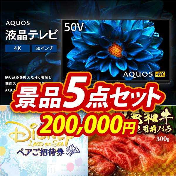 ビンゴ景品5点セット【AQUOS 4K 50インチテレビ/ディズニーペアチケット 他】A3パネル・目録付き<送料無料>