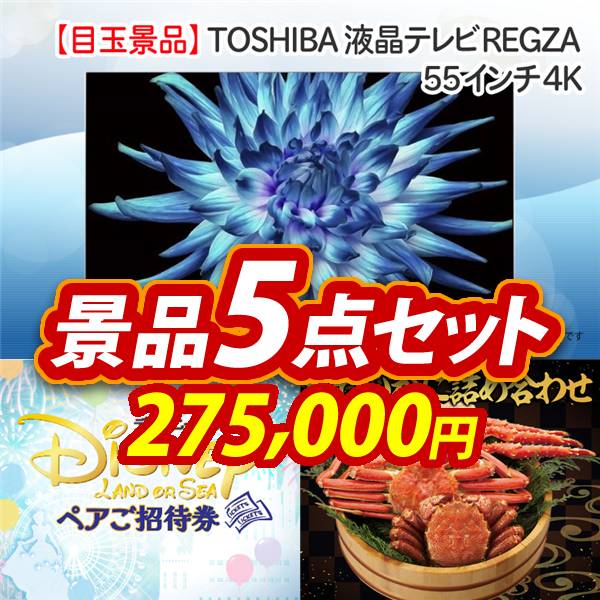 ビンゴ景品5点セット【TOSHIBA液晶テレビ REGZA　55インチ　4K/ディズニーペアチケット 他】A3パネル・目録付き<送料無料>