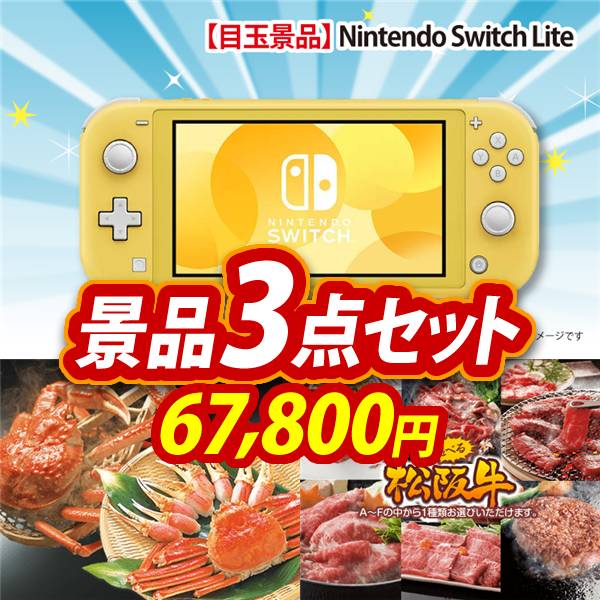 ビンゴ景品3点セット【Nintendo Switch Lite/ずわいがに詰め合わせ 他】A3パネル・目録付き<送料無料>