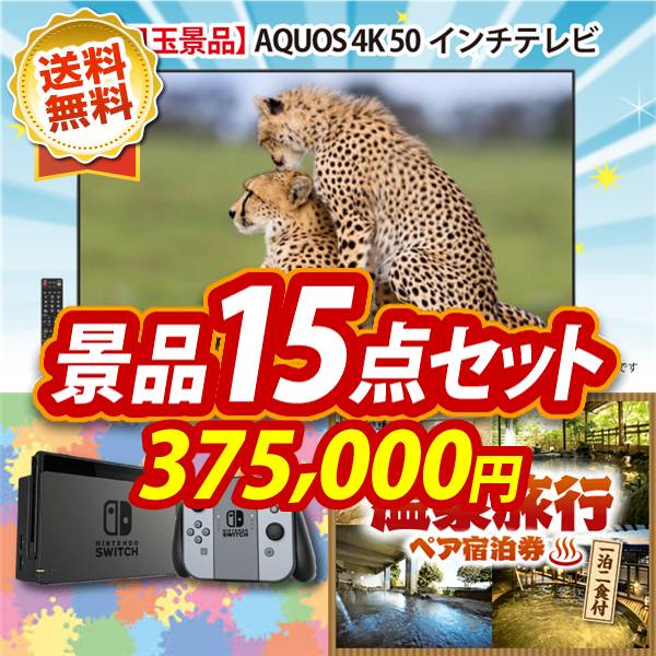 ビンゴ景品15点セット【AQUOS 4K 50インチテレビ/Nintendo Switch 他】A3パネル・目録付き<送料無料>