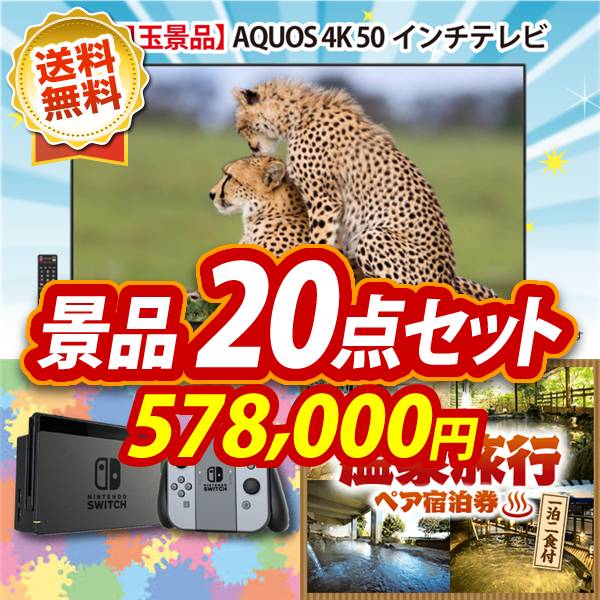 ビンゴ景品20点セット【AQUOS 4K 50インチテレビ/Nintendo Switch 他】A3パネル・目録付き<送料無料>