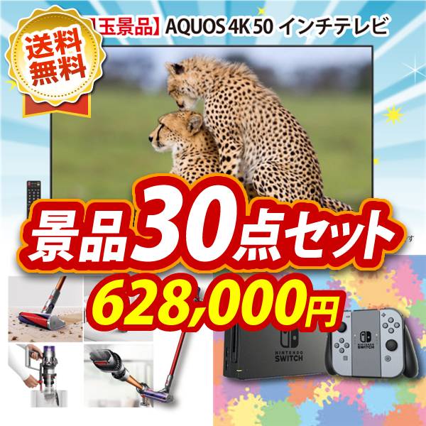 ビンゴ景品30点セット【AQUOS 4K 50インチテレビ/Dyson コードレス掃除機 V10 Fluffy 他】A3パネル・目録付き<送料無料>