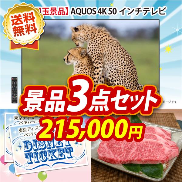ビンゴ景品3点セット【AQUOS 4K 50インチテレビ/ディズニーペアチケット 他】A3パネル・目録付き<送料無料>