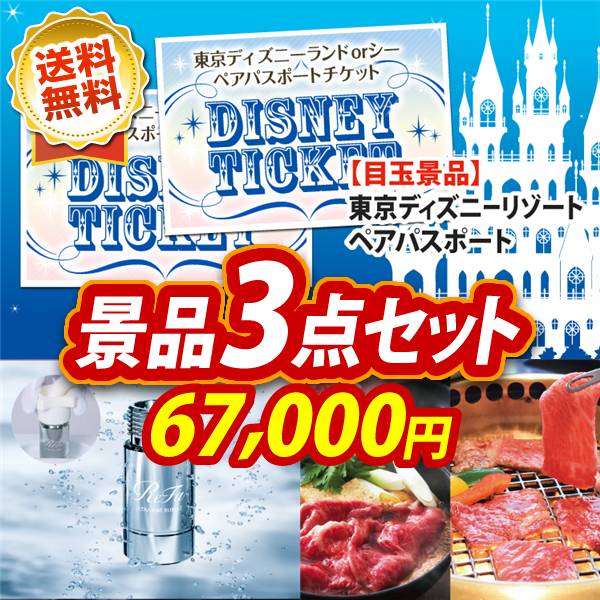 ビンゴ景品3点セット【ディズニーペアチケット/ReFa ウルトラファインバブル ランドリー 他】A3パネル・目録付き<送料無料>