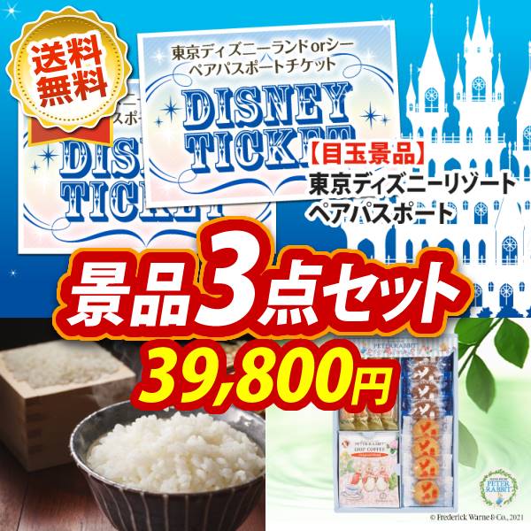 パスポートDisney ディズニー パスポート ペア チケット - 遊園地