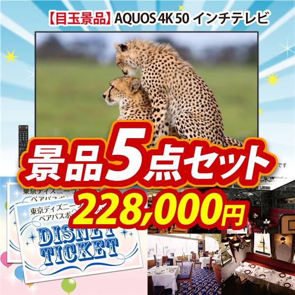 ビンゴ景品5点セット【AQUOS 4K 50インチテレビ/ディズニーペアチケット 他】A3パネル・目録付き<送料無料>