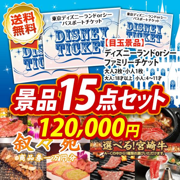 イベント景品15点セット【ディズニーファミリーチケット(大人2枚 小人1 ...