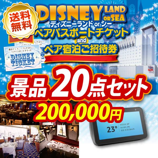 数量限定安いディズニーペアチケット+ホテル　セット 遊園地/テーマパーク