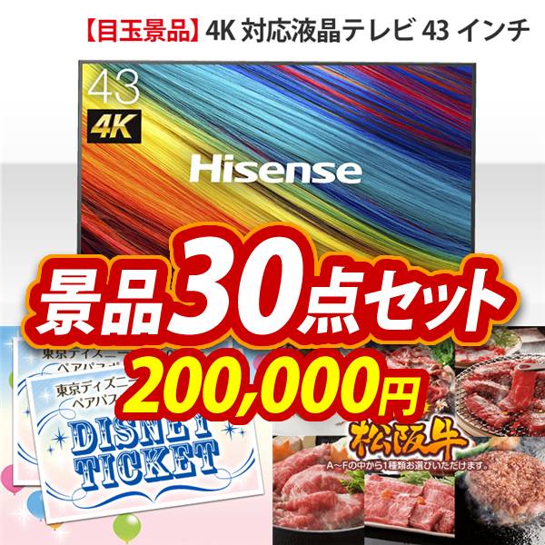 ビンゴ景品30点セット【4K対応液晶テレビ43インチ/ディズニーペアチケット 他】A3パネル・目録付き<送料無料>