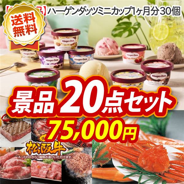 ビンゴ景品20点セット【ハーゲンダッツ ミニカップ 1ヶ月分　30個/選べる一品景品【松阪牛】 他】A3パネル・目録付き<送料無料>