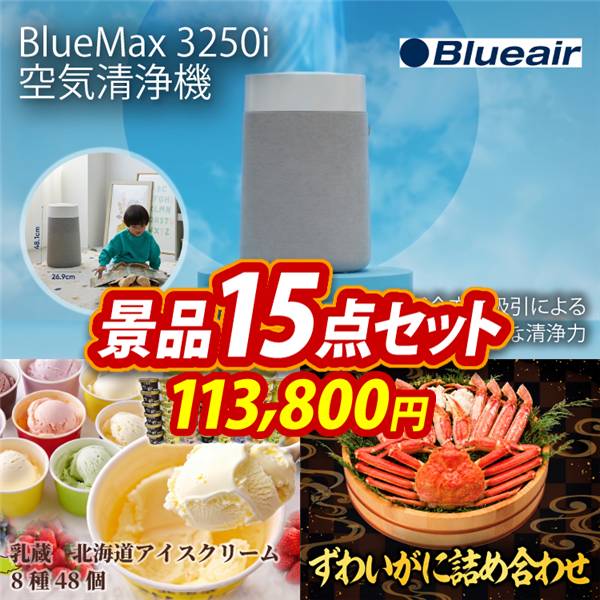ビンゴ景品15点セット【BLUEAIR BLUE MAX 空気清浄機/乳蔵 北海道アイスクリーム8種48個 他】A3パネル・目録付き<送料無料>