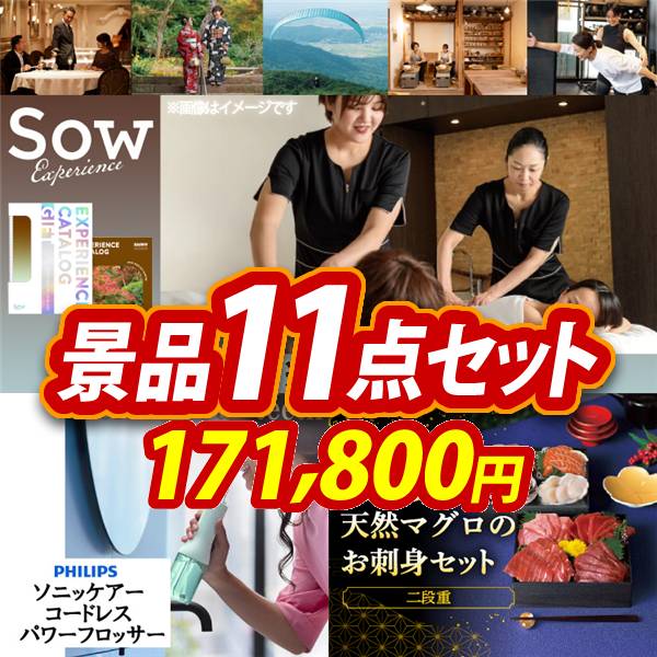 ビンゴ景品11点セット【選べる体験ギフトBROWN/フィリップス