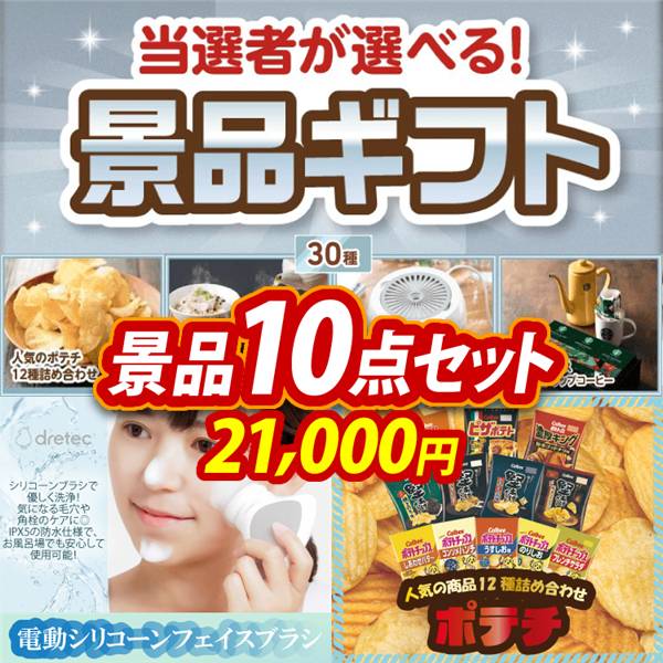 ビンゴ景品10点セット【当選者が選べる景品ギフト【シルバー】/ドリテック 電動シリコーンフェイスブラシ 他】A3パネル・目録付き<送料無料>