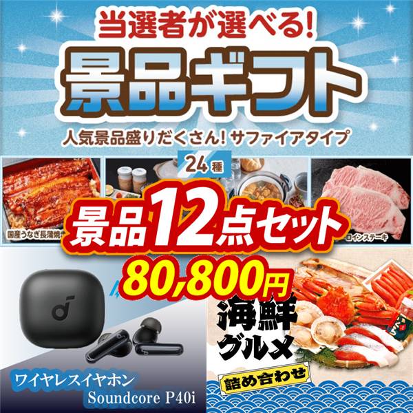 ビンゴ景品12点セット【当選者が選べる景品ギフト【サファイヤ】/Anker ワイヤレスイヤホン Soundcore P40i 他】A3パネル・目録付き<送料無料>