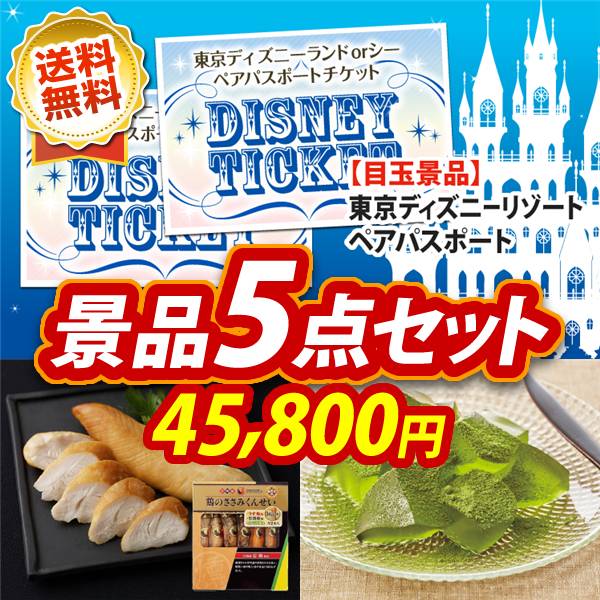 ビンゴ景品5点セット【ディズニーペアチケット/雲海物産鶏のささみ燻製 他】A3パネル・目録付き<送料無料>