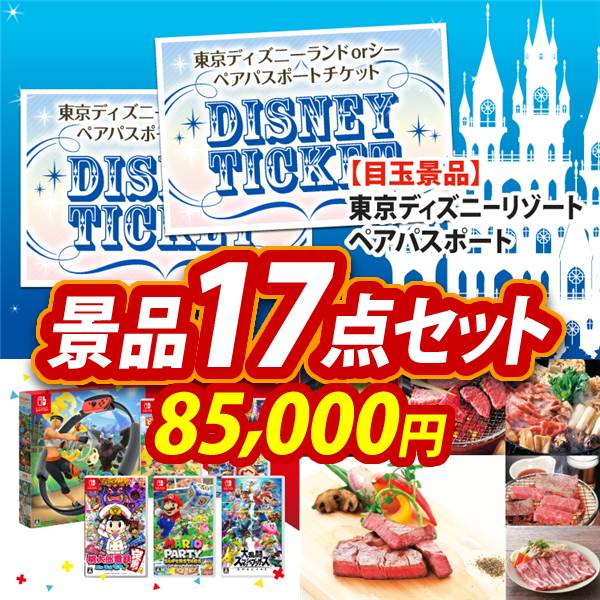 ビンゴ景品17点セット【ディズニーペアチケット/選べる!Switchゲームソフト 他】A3パネル・目録付き<送料無料>