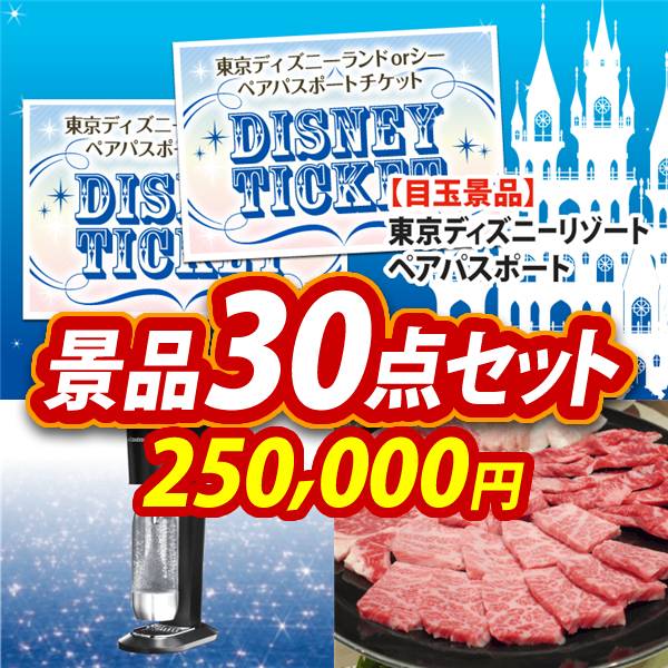 ビンゴ景品30点セット【ディズニーペアチケット/SodaStreamスターターキット 他】A3パネル・目録付き<送料無料>