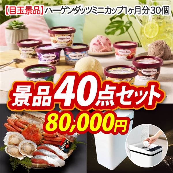 ビンゴ景品40点セット【ハーゲンダッツ ミニカップ 1ヶ月分　30個/北海道海鮮グルメ詰め合わせ 他】A3パネル・目録付き<送料無料>