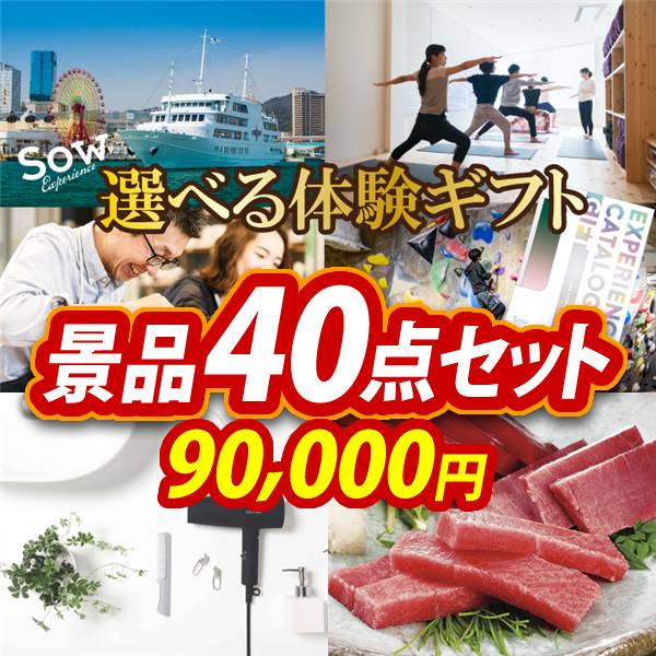 ビンゴ景品40点セット【選べる体験ギフトGREEN/SALONIA スピーディーイオンドライヤー 他】A3パネル・目録付き<送料無料>