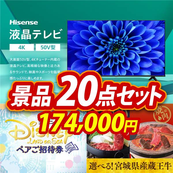 ビンゴ景品20点セット【Hisense 50V型 4Kチューナー内蔵 液晶 テレビ/ディズニーペアチケット 他】A3パネル・目録付き<送料無料>