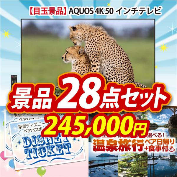 ビンゴ景品28点セット【AQUOS 4K 50インチテレビ/ディズニーペアチケット 他】A3パネル・目録付き<送料無料>