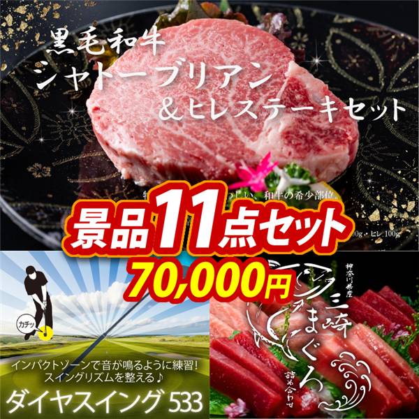 ゴルフコンペ景品11点セット【黒毛和牛シャトーブリアン&ヒレステーキセット/ダイヤスイング533 他】A3パネル・目録付き<送料無料>