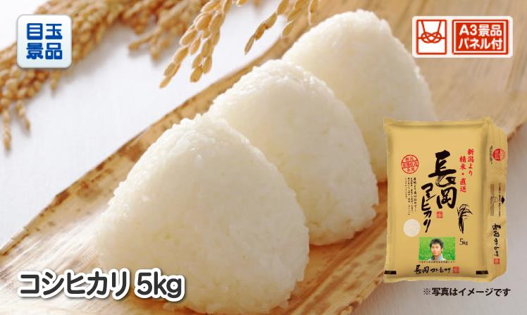 コシヒカリ5kg