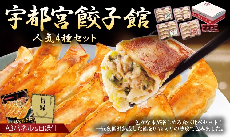 宇都宮餃子館 人気4種セット