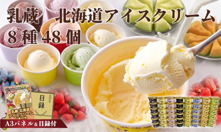 乳蔵 北海道アイスクリーム8種48個
