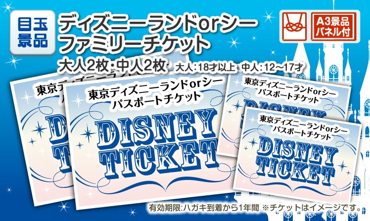 ディズニーファミリーチケット(大人2枚 中人2枚)のイメージ