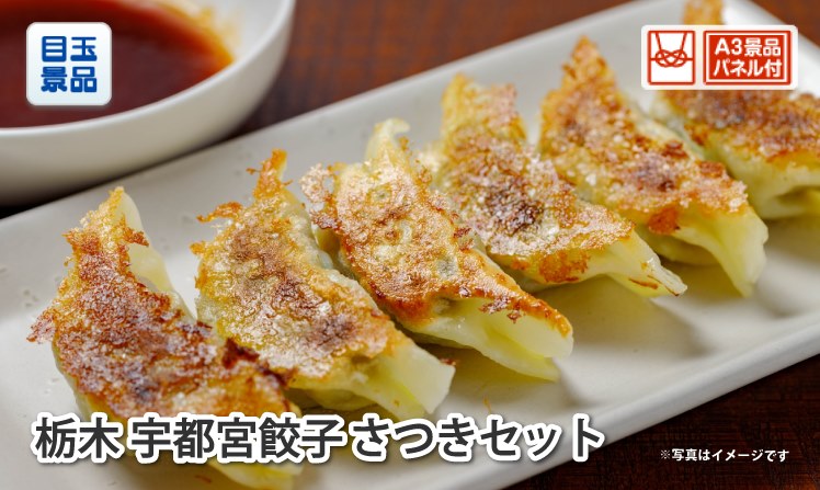 栃木　宇都宮餃子さつきセット