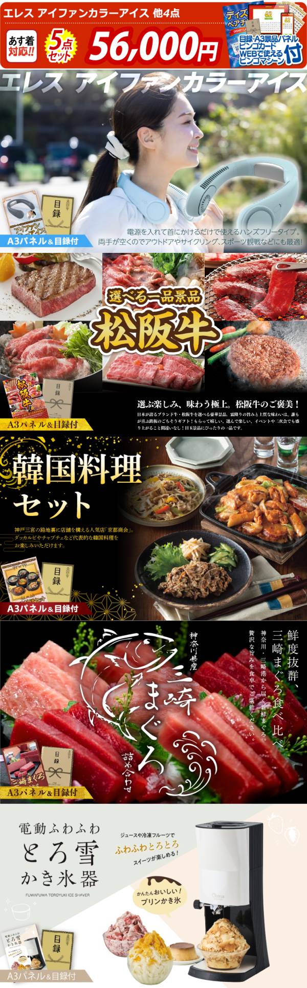 ビンゴ景品5点セット【エレス アイファンカラーアイス/選べる一品景品