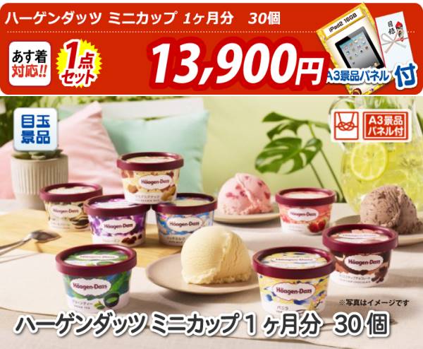 ビンゴ景品【ハーゲンダッツ ミニカップ 1ヶ月分 30個】A3パネル・目録