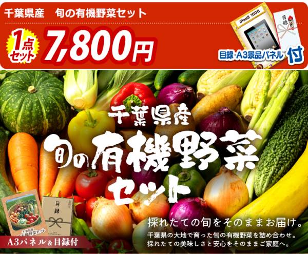 新年会景品【千葉県産 旬の有機野菜セット】A3パネル・目録付き<送料