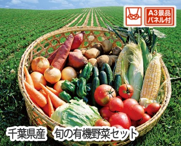 千葉県産　旬の有機野菜セットのイメージ
