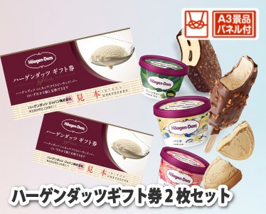 ハーゲンダッツギフト券2枚セットのイメージ