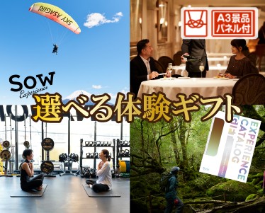 選べる体験ギフトBROWNのイメージ