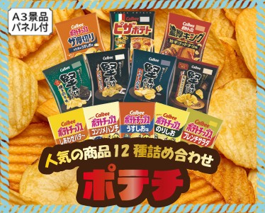 人気のポテチ12種詰め合わせのイメージ