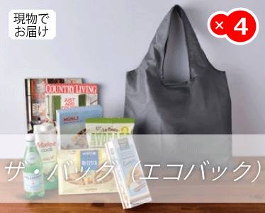 ザ・バッグ（エコバック）のイメージ