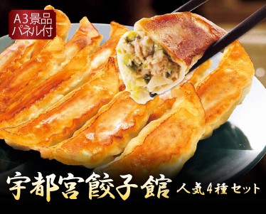 宇都宮餃子館 人気4種セットのイメージ