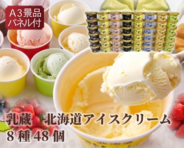 乳蔵 北海道アイスクリーム8種48個のイメージ