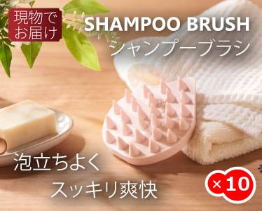 スッキリ爽快　シャンプーブラシのイメージ